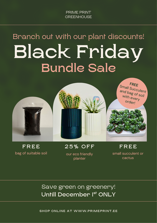 Buy one planter get free succulent and soil