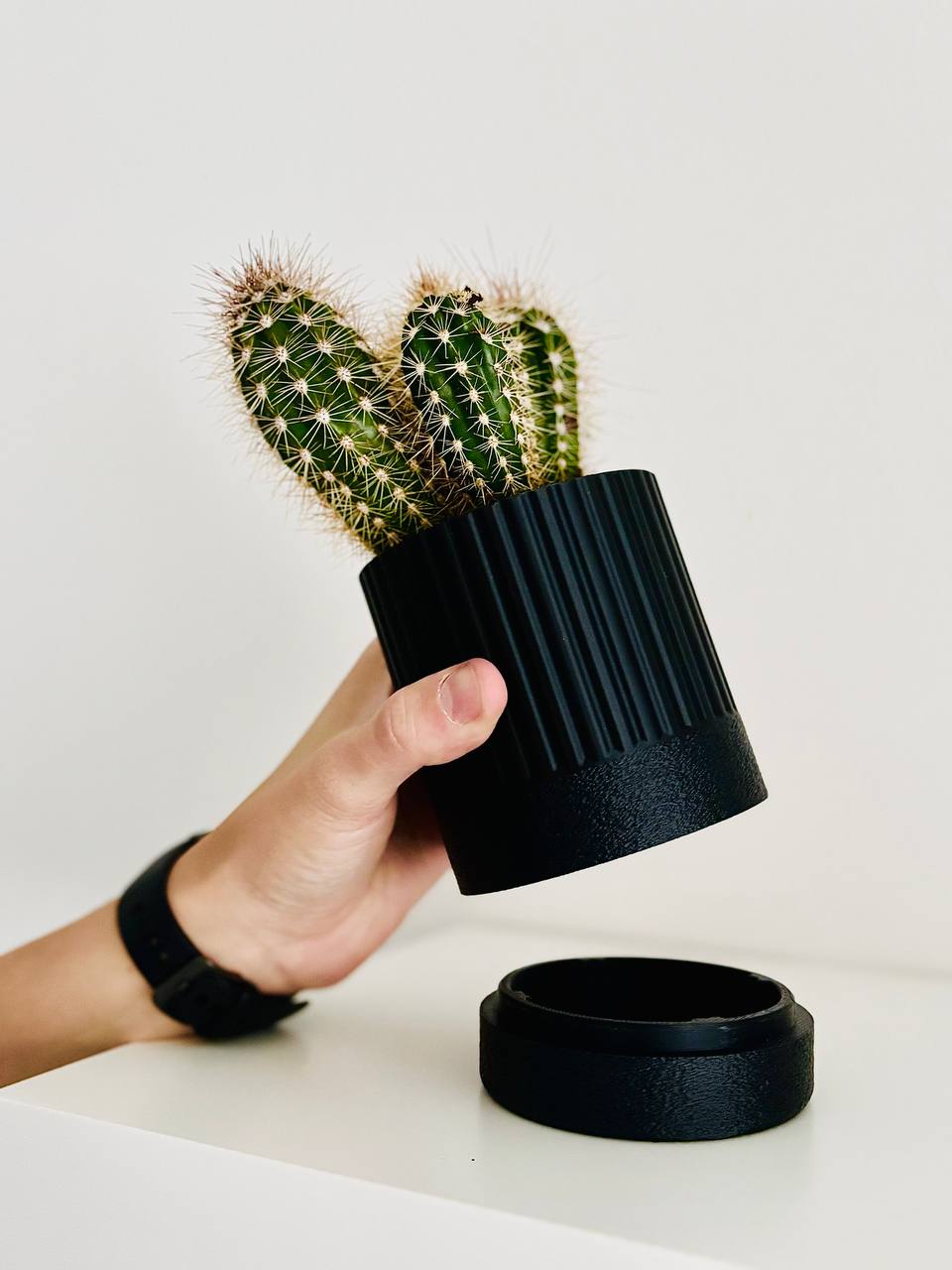 Buy one planter get free succulent and soil